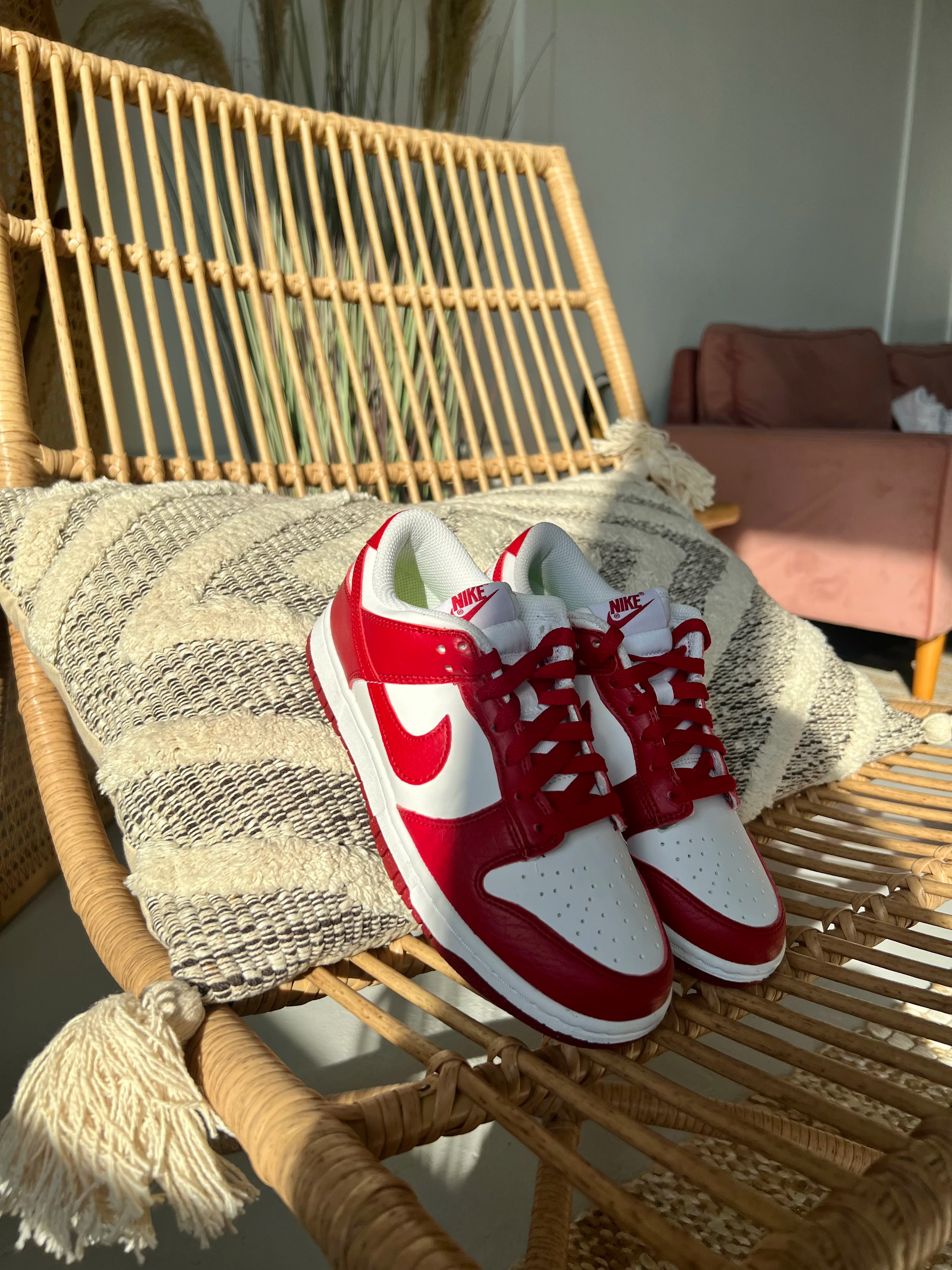 Next Nature Gym Red Dunk